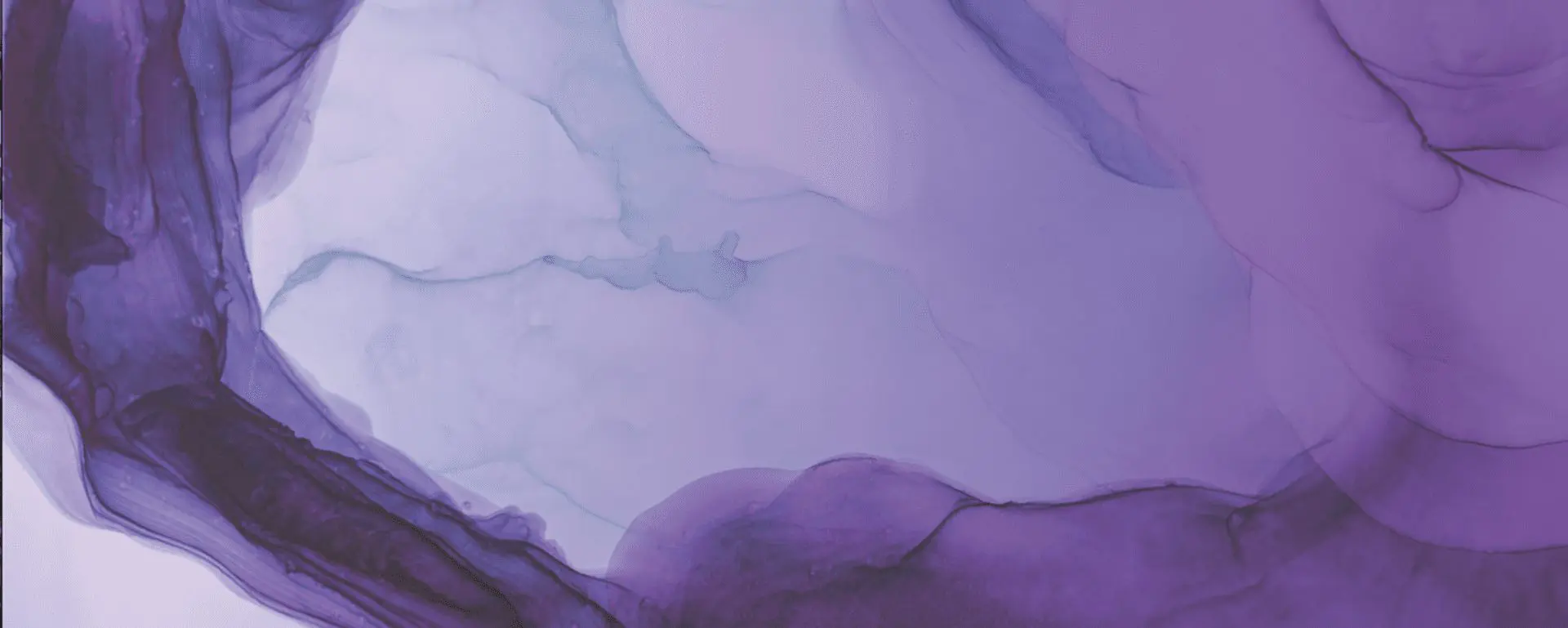 interior banner image