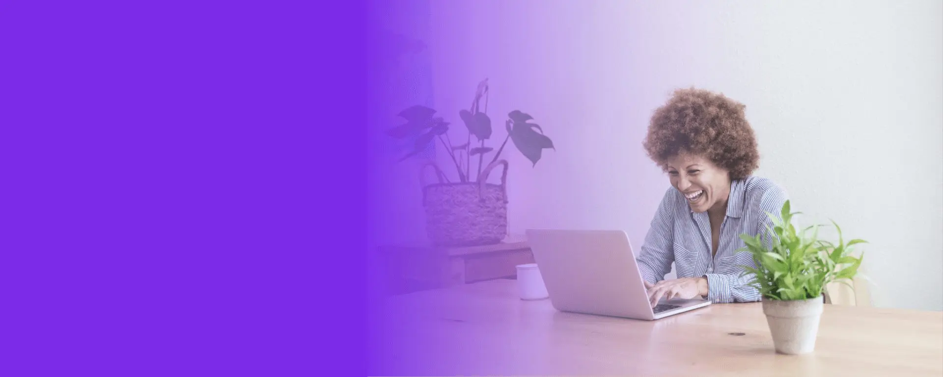 interior banner image